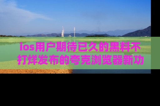 ios用户期待已久的黑料不打烊发布的夸克浏览器新功能上线啦！