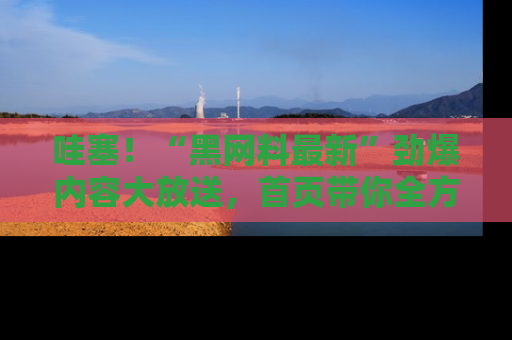 哇塞!“黑网料最新”劲爆内容大放送,首页带你全方位了解哦,小可爱们