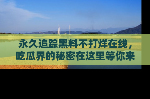 永久追踪黑料不打烊在线,吃瓜界的秘密在这里等你来发现!