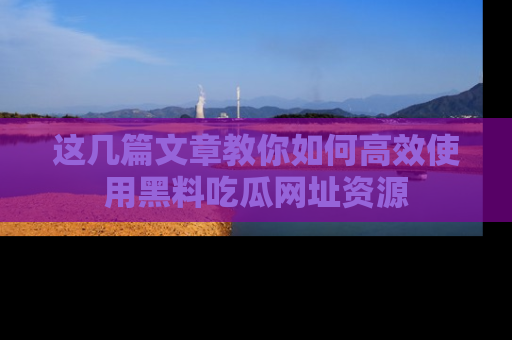 这几篇文章教你如何高效使用黑料吃瓜网址资源