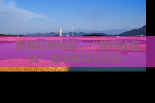 最新视频揭秘,“黑料社在线”独家黑料大放送!